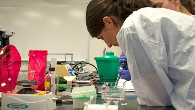 Adams State molecular biology lab